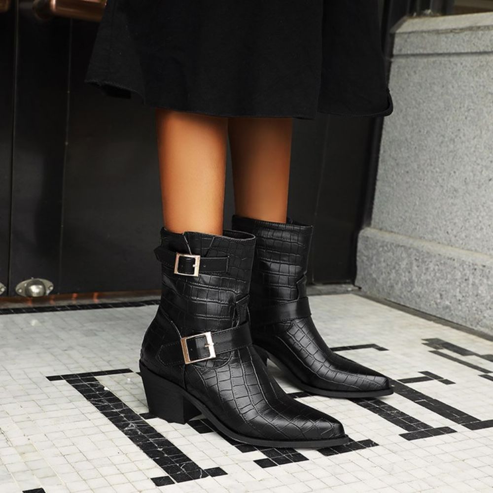 Botas Pontiagudas Femininas Com Zíper Nas Costas Simples