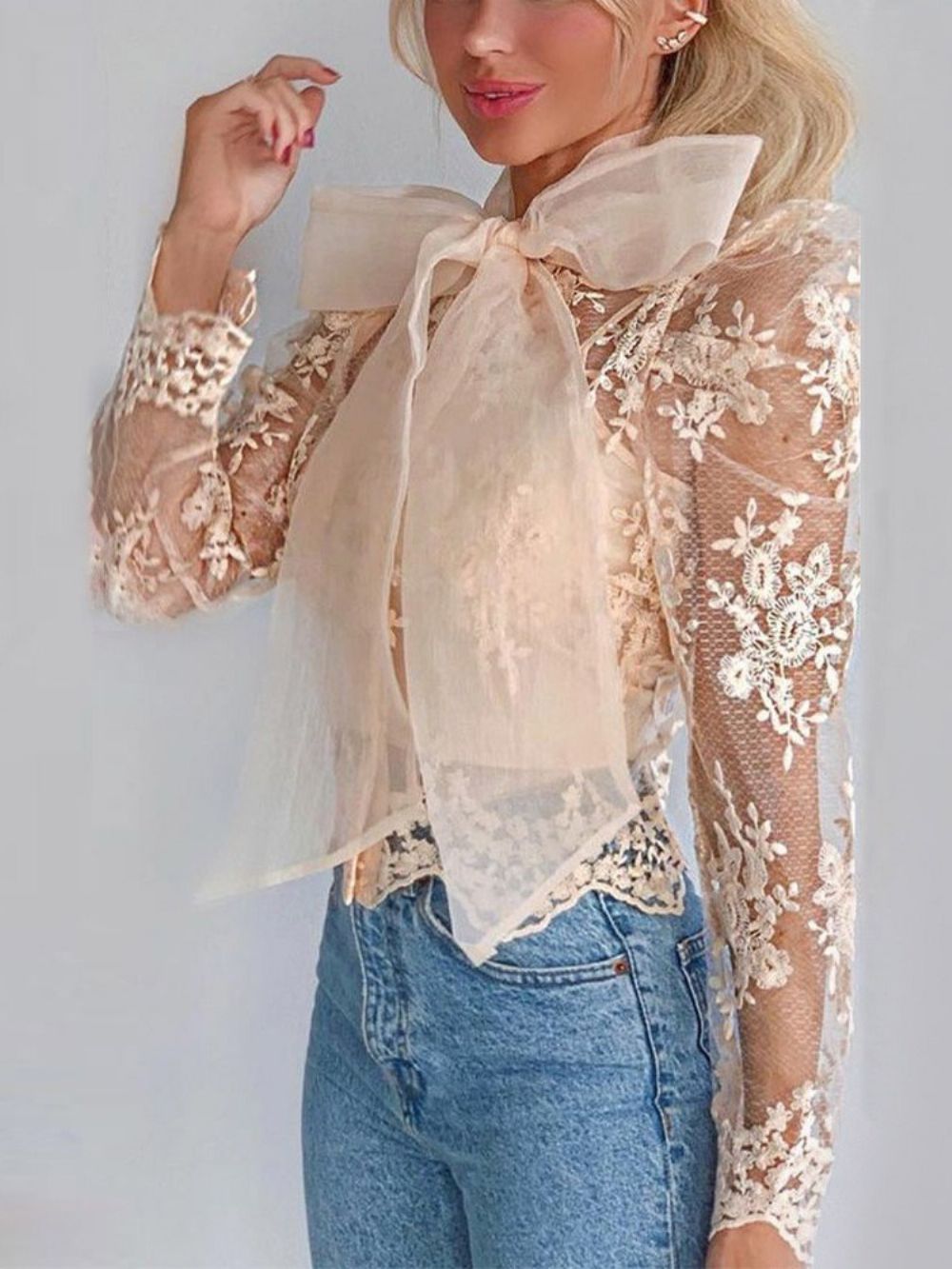 Blusa Padrão Manga Longa De Renda Simples Transparente