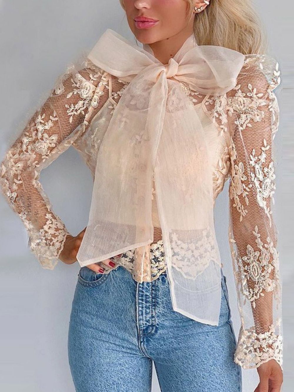 Blusa Padrão Manga Longa De Renda Simples Transparente