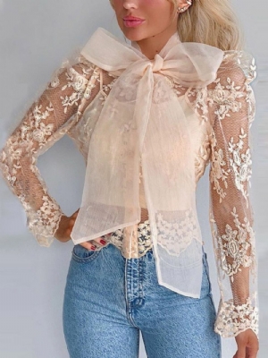 Blusa Padrão Manga Longa De Renda Simples Transparente