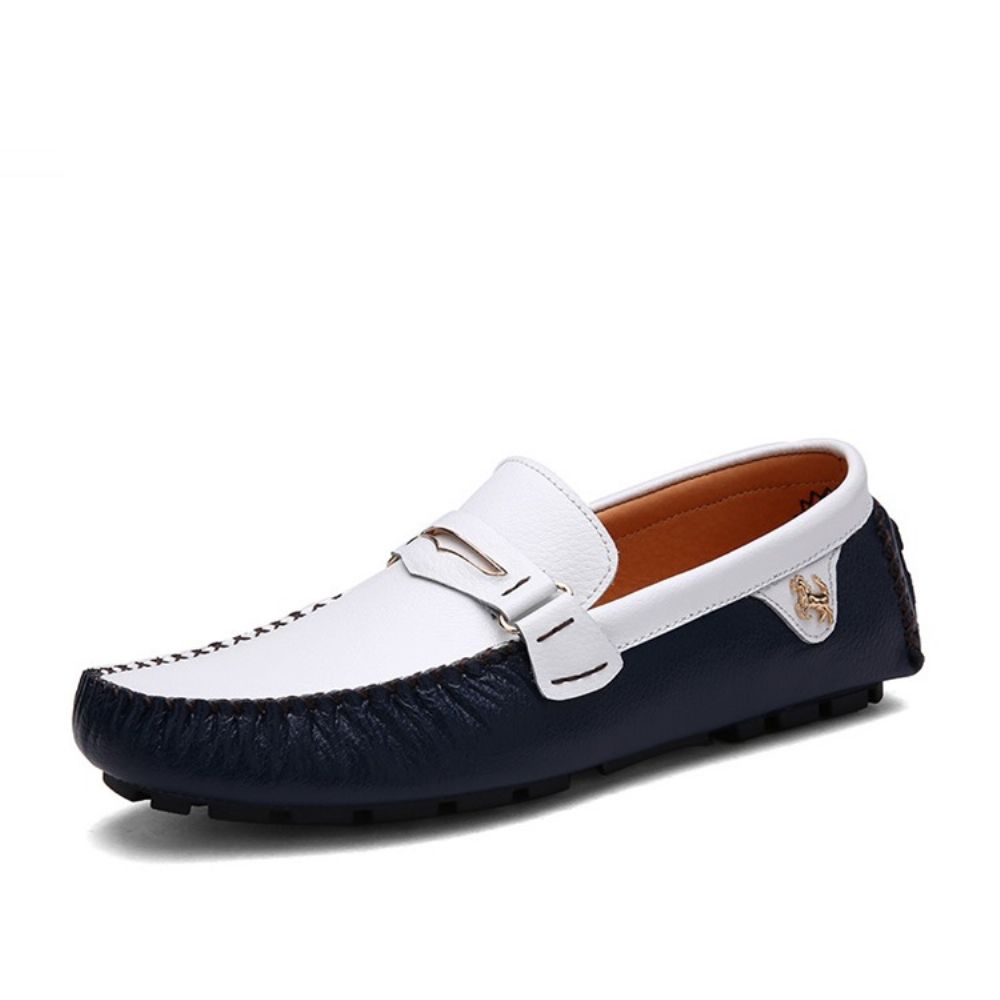 Mocassim-Gommino Masculino Com Fivela