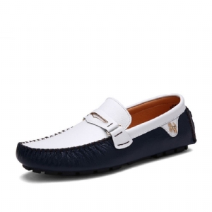 Mocassim-Gommino Masculino Com Fivela