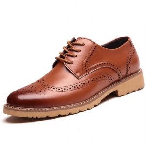 Novos Brogues Masculinos Com Cadarço