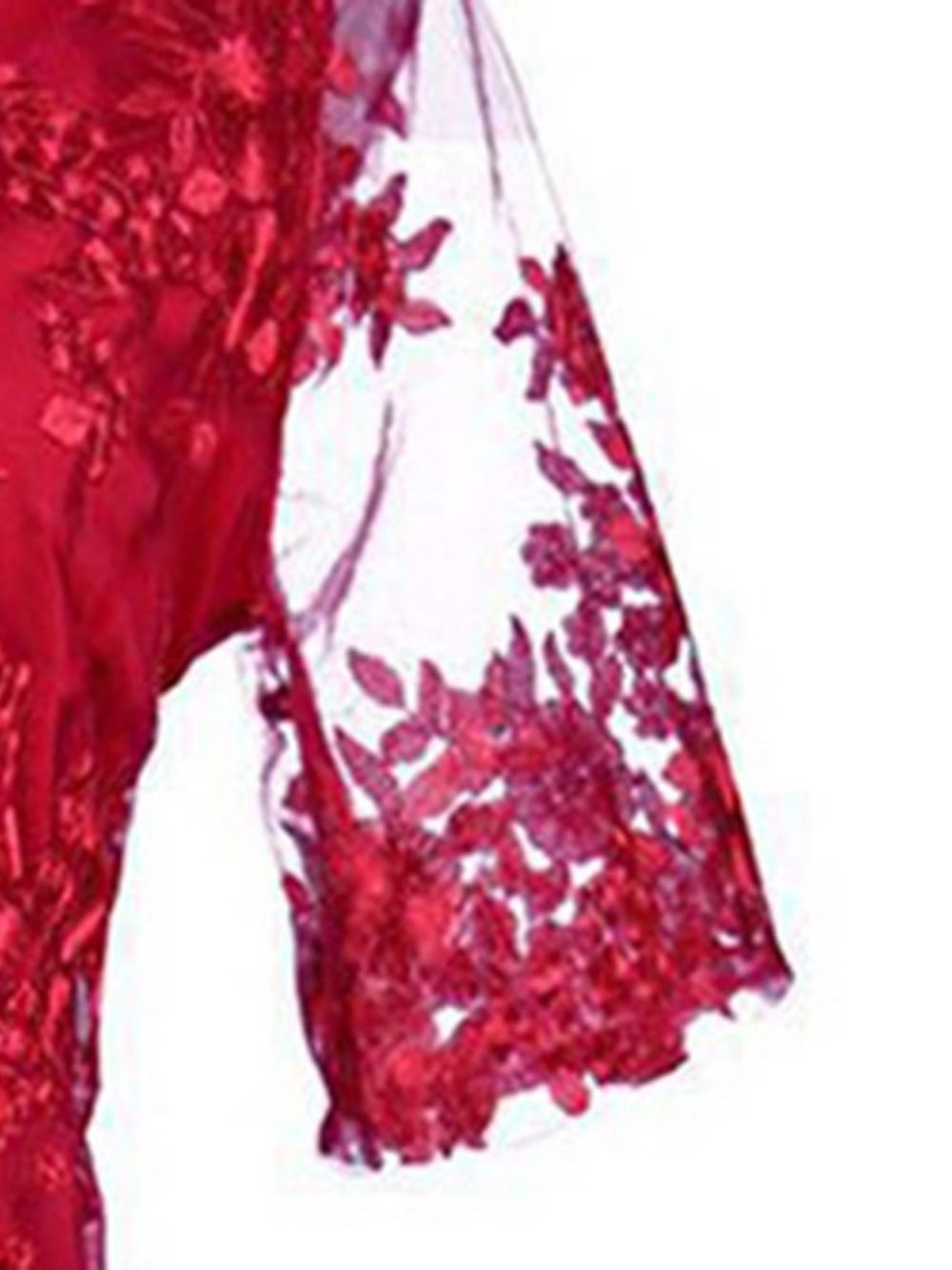 Vestido Plus Size De Renda Meia Manga Transparente Transparente