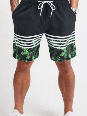 Short Masculino Casual Com Cadarço Da Planta